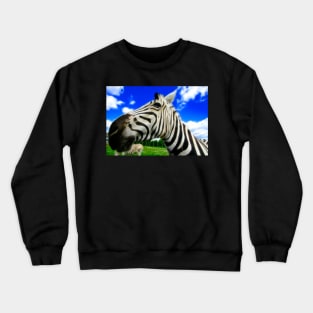 Wide Angle Zebra Crewneck Sweatshirt